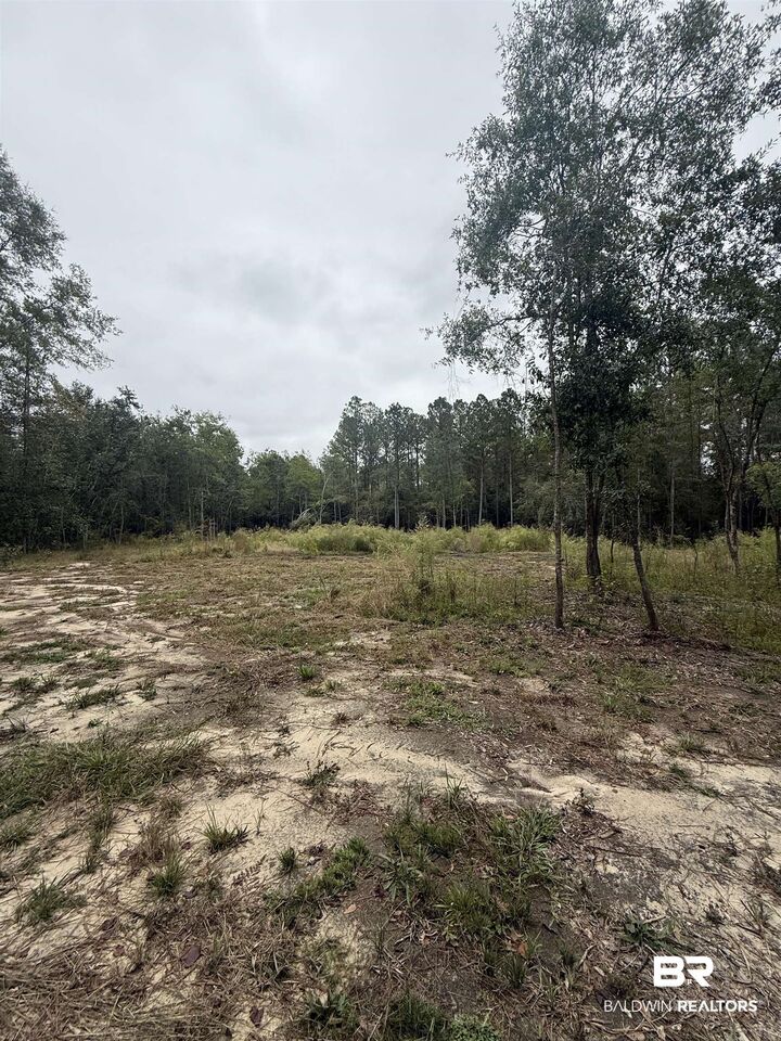 Property Photo: 36636 Legacy Way AL 36507