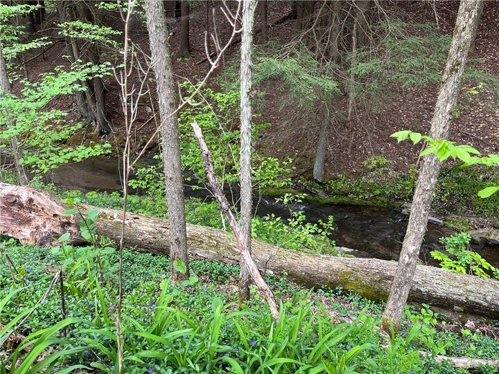 Property Photo: Gay Hollow Road E NY 14883