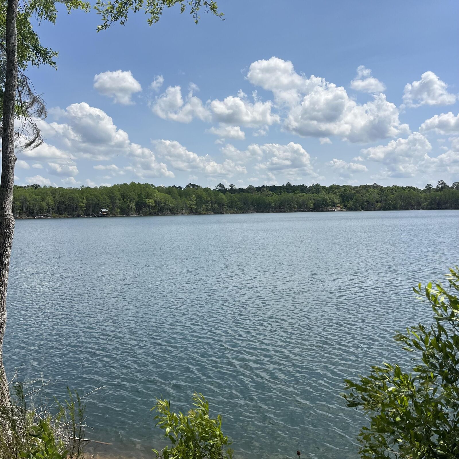 Property Photo:  Tbd Blue Pond Circle Circle  FL 32455 