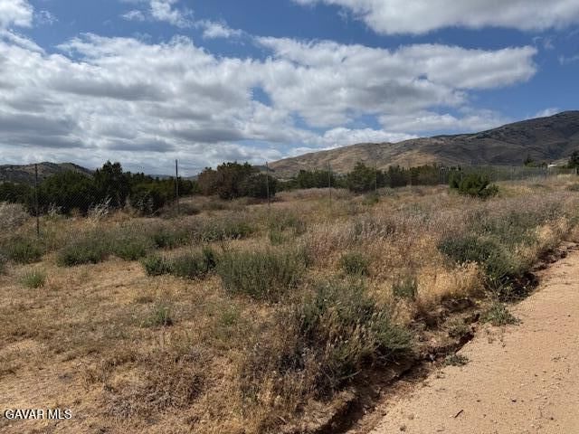 Property Photo:  Palgrane Rd Vic Easy  CA 93510 