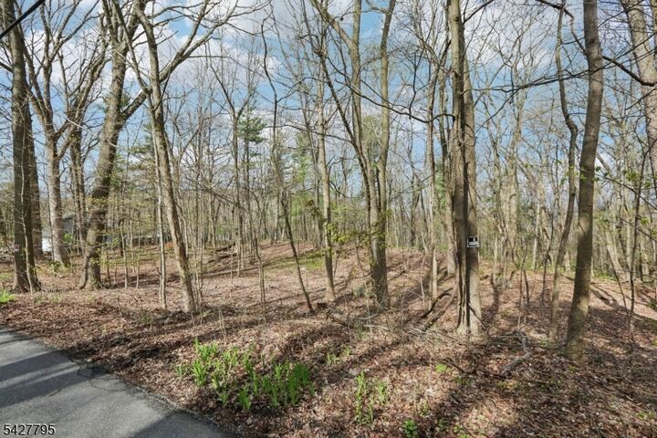 Property Photo: 11 Alamoosook Rd NJ 07422