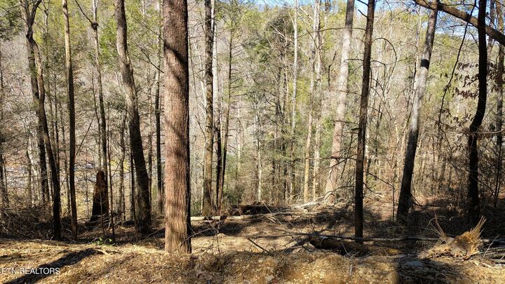 Property Photo:  Carrs Creek Rd  TN 37882 
