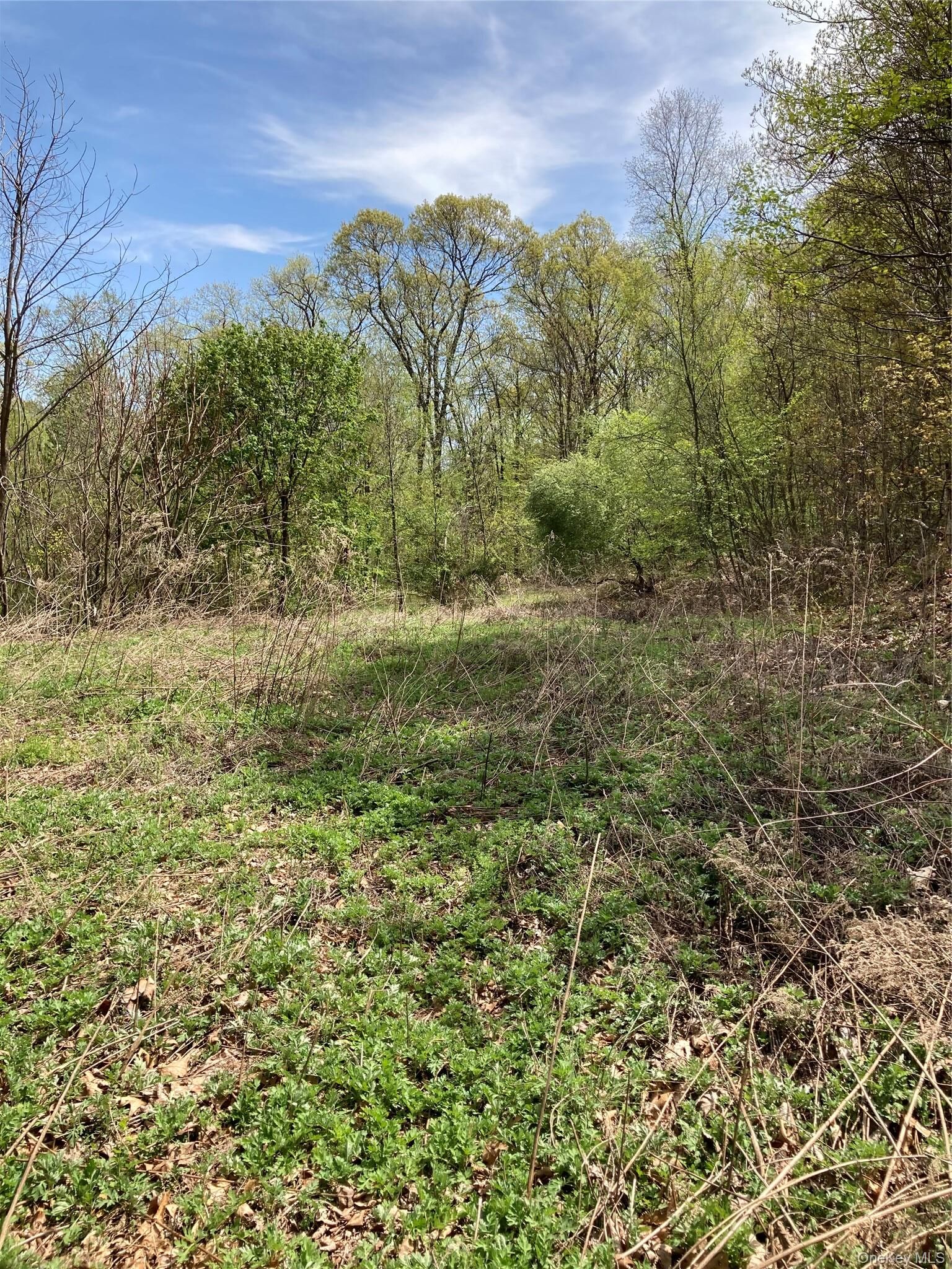 Property Photo: Canterbury Drive NY 12550