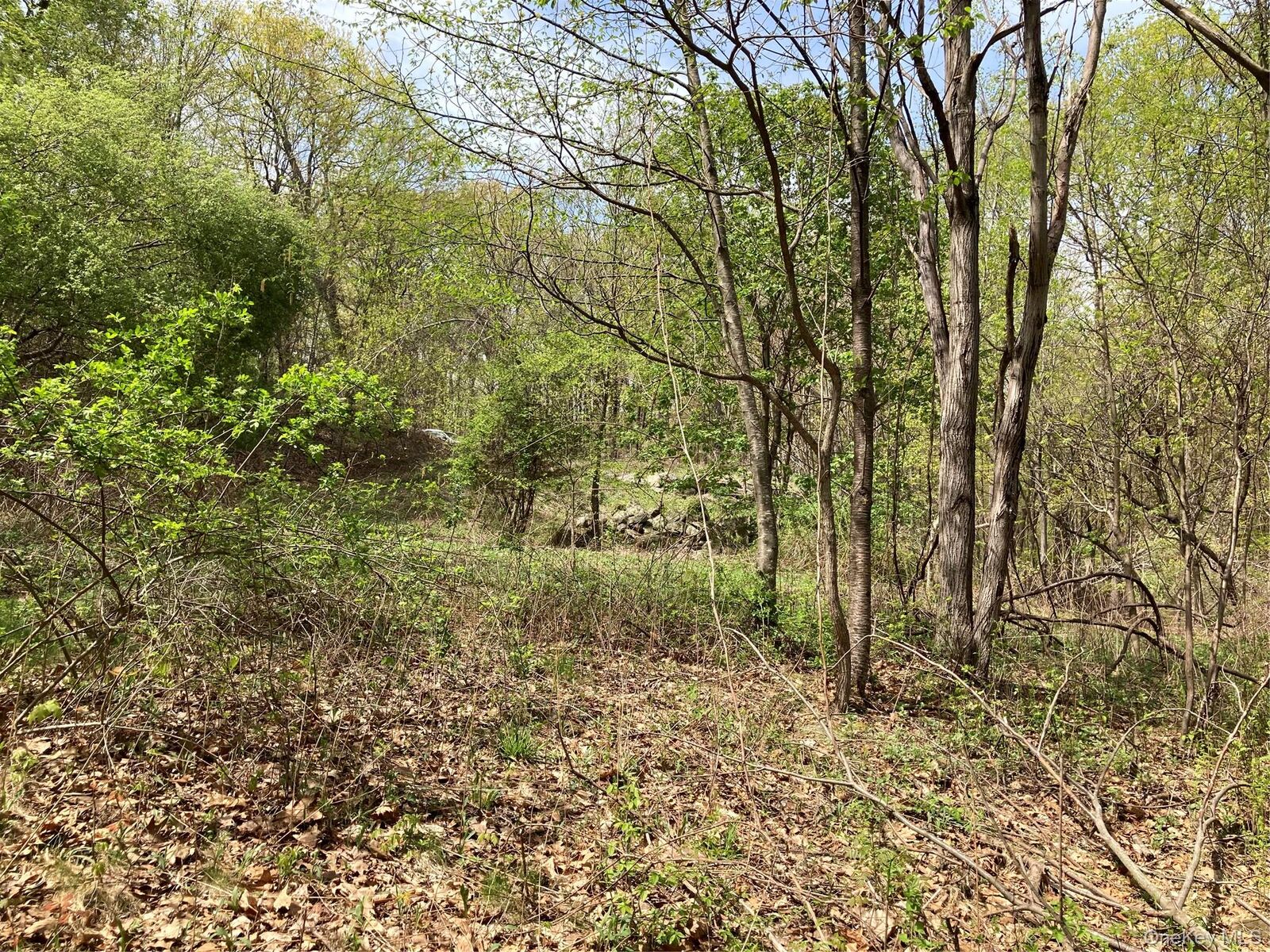 Property Photo:  Canterbury Drive  NY 12550 