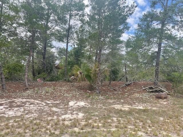 Property Photo:  1342 Homosassa Drive  FL 34759 