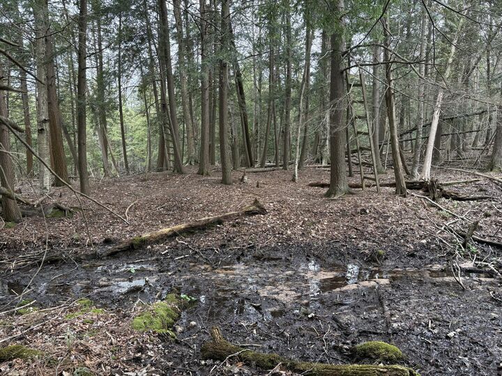 Property Photo:  2.27 Acres W Shelby Road  MI 49455 