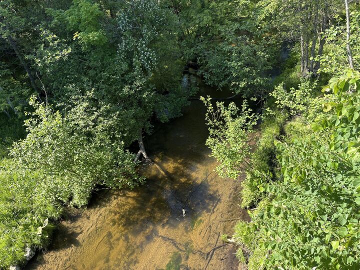 Property Photo: 2.27 Acres W Shelby Road MI 49455