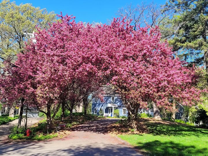 Property Photo:  3942 Willmatt Hill  MN 55305 