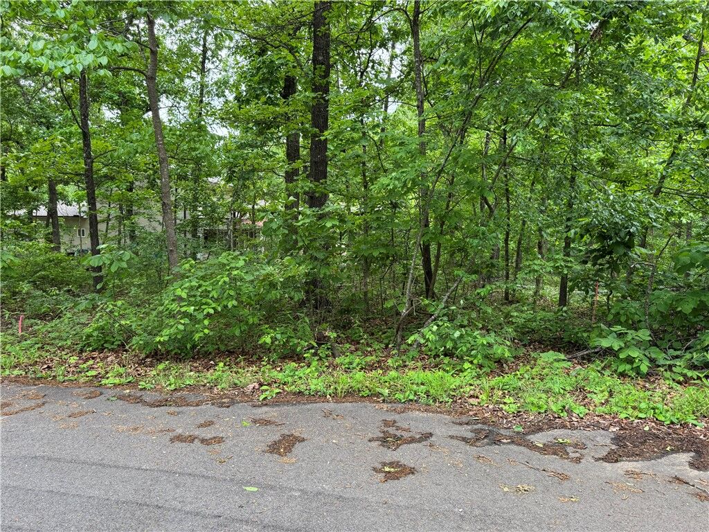 Property Photo:  4 Bressay Circle  AR 72715 