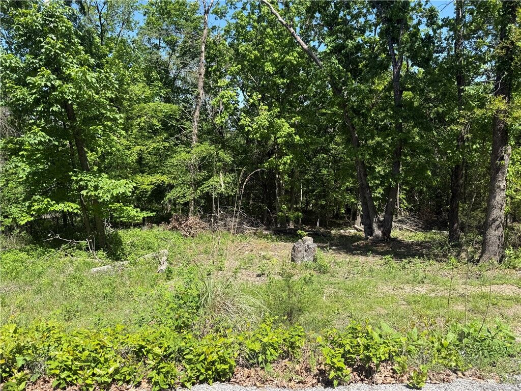 Property Photo:  36 Venus Avenue  AR 72631 