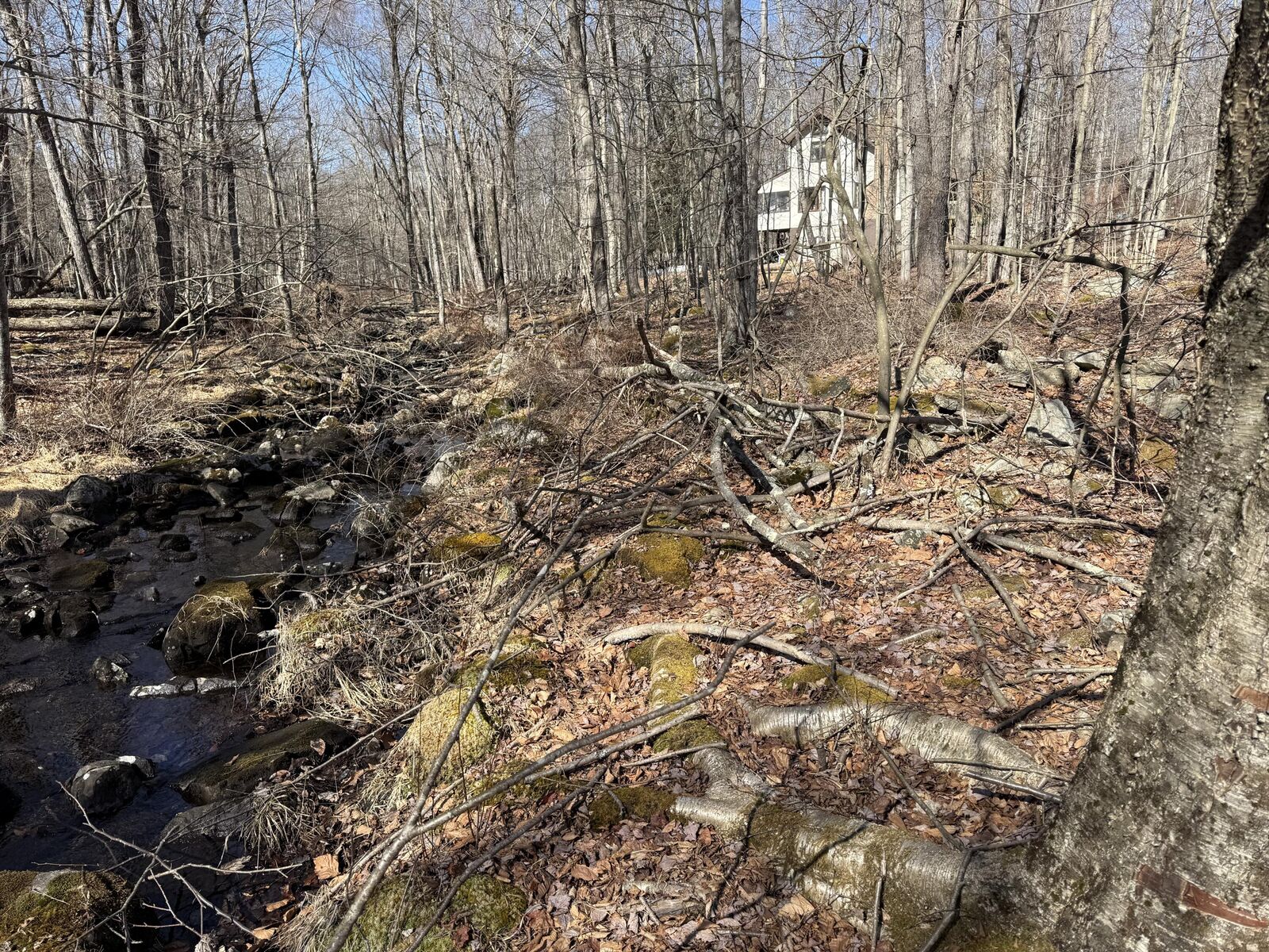 Property Photo:  2321 L C Larsen Dr  PA 18424 