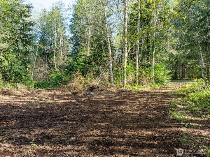 Property Photo: 0 Davis Lake Road WA 98356