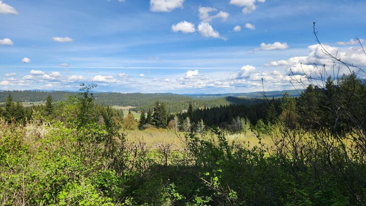 Property Photo:  Xxxx Woolard Rd  WA 99005 