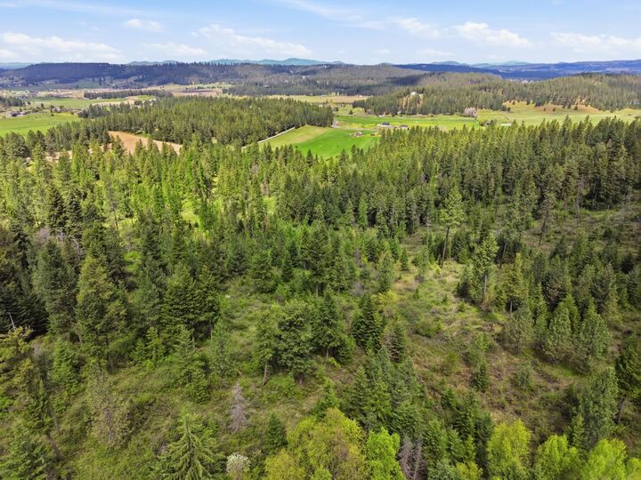 Property Photo:  Xxxx Woolard Rd  WA 99005 
