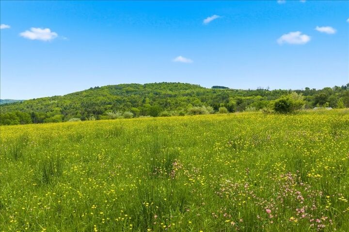 Property Photo:  143 Swift Road  NY 13905 
