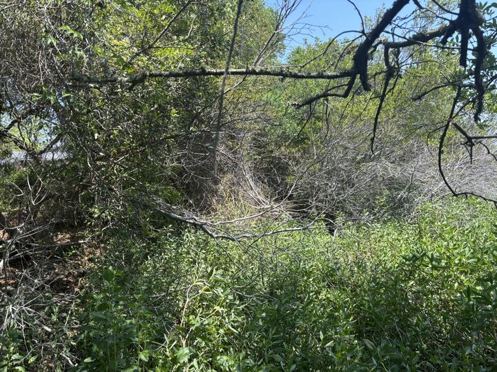 Property Photo:  2035 Sol Legare Road  SC 29412 