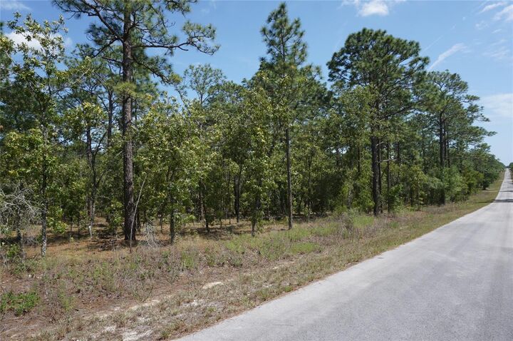 Property Photo:  Tbd NW Tree Top Road  FL 34431 