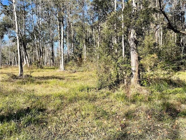 Property Photo: Downey Road LA 70461