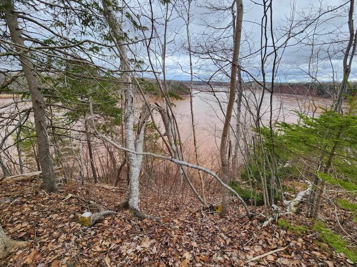 Property Photo:  Lot Highway 215  NS B0N 1T0 