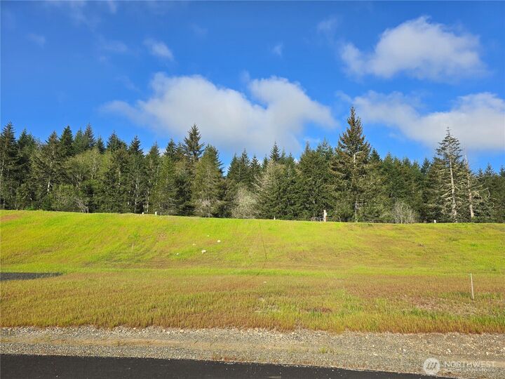 Property Photo:  41 E Virgil Drive W  WA 98524 