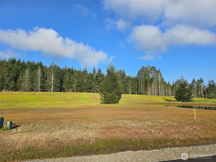 Property Photo:  91 E Virgil Drive W  WA 98524 