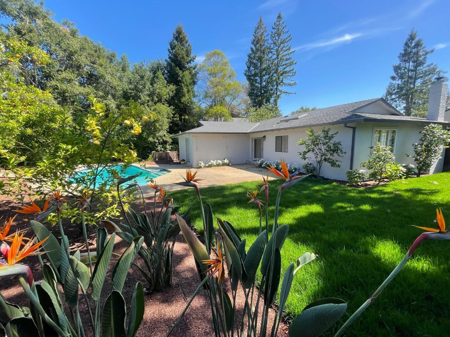 Property Photo:  50 Los Altos Avenue  CA 94022 