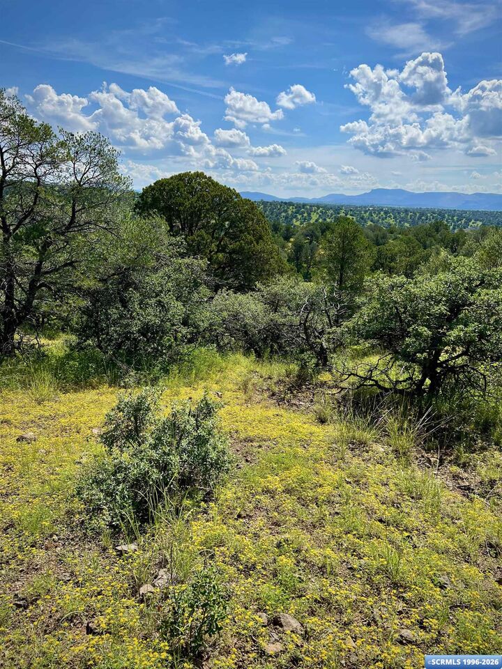 Property Photo:  2xx Xyz Ranch Road  NM 88061 