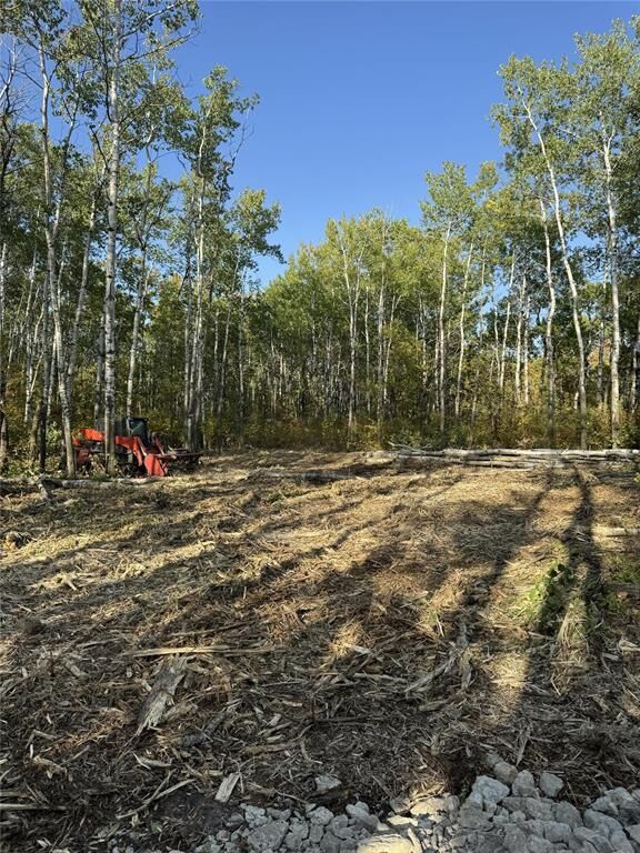 Photo de la propriété:  40127 Rosentreter Mile 69 Road  MB R0E 0C0 