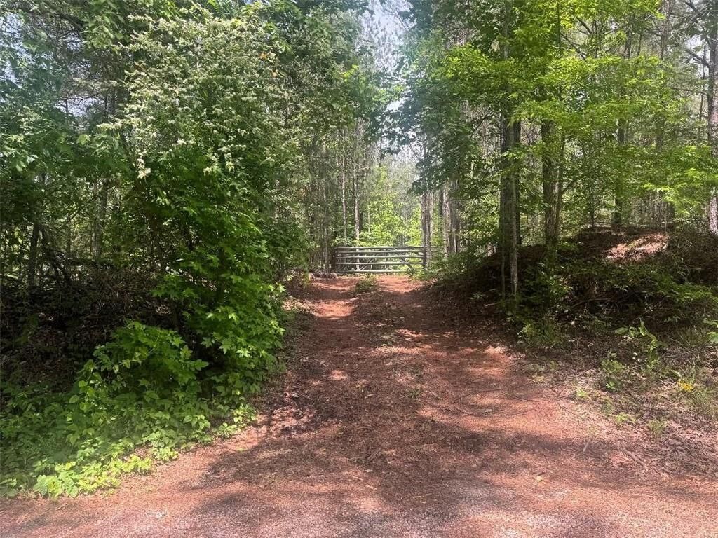 Property Photo:  0 Butler Bridge Road  GA 30252 