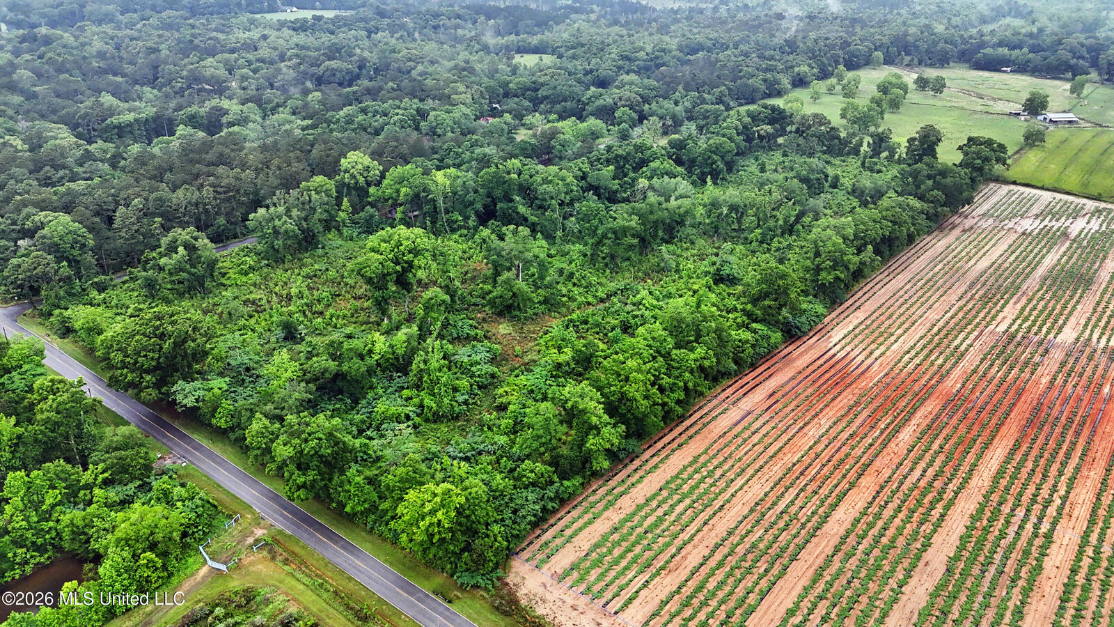 Property Photo:  Basin School Road  MS 39452 