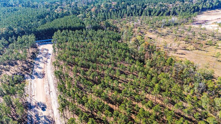 Property Photo:  Lot 12 Big Buck Drive  TX 75960 