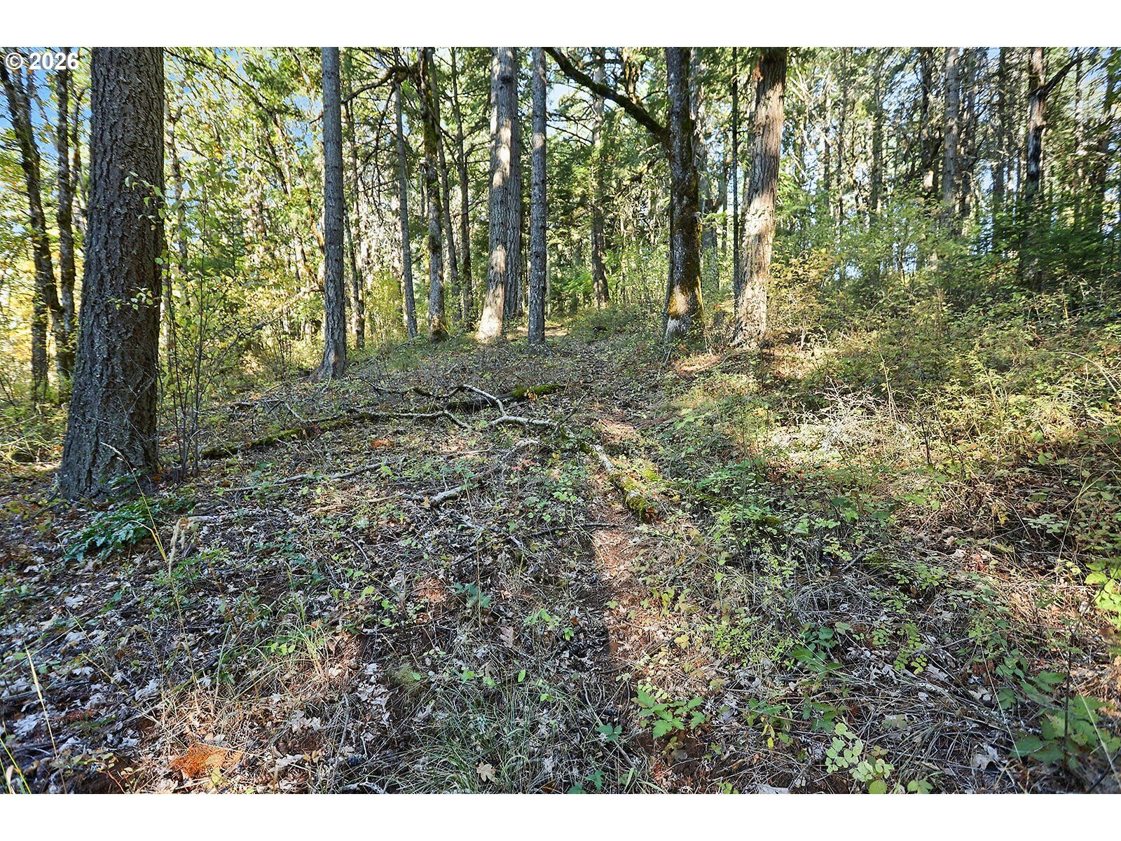 Property Photo: Echo Glen Rd WA 98672