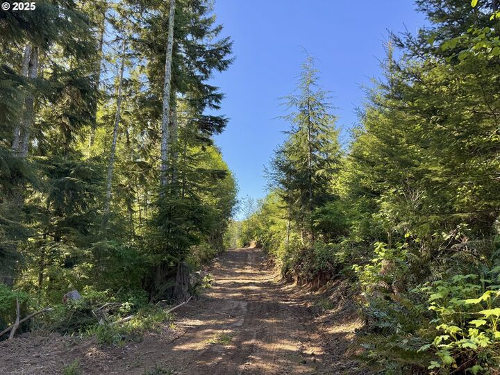 Property Photo:  72000 Clatskanie Heights Rd  OR 97016 