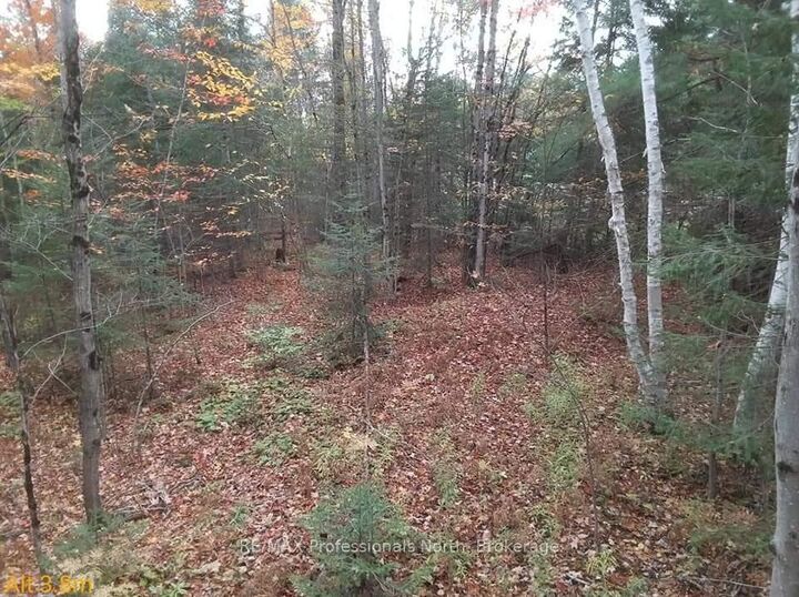 Property Photo:  Tbd Gelert Road  ON K0M 2K0 