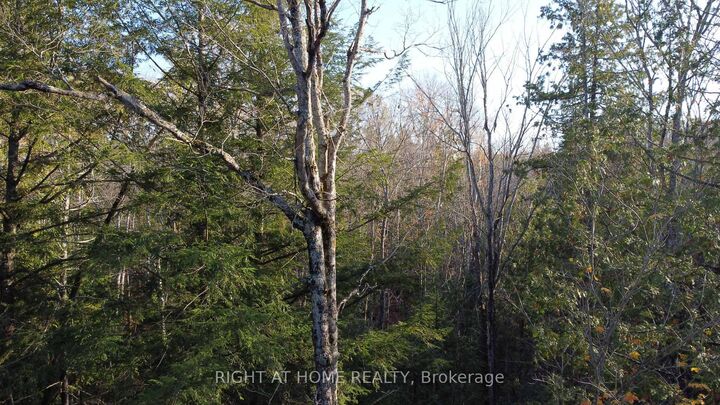 Property Photo:  2263 Machar Strong Boundry Road  ON P0A 1Z0 