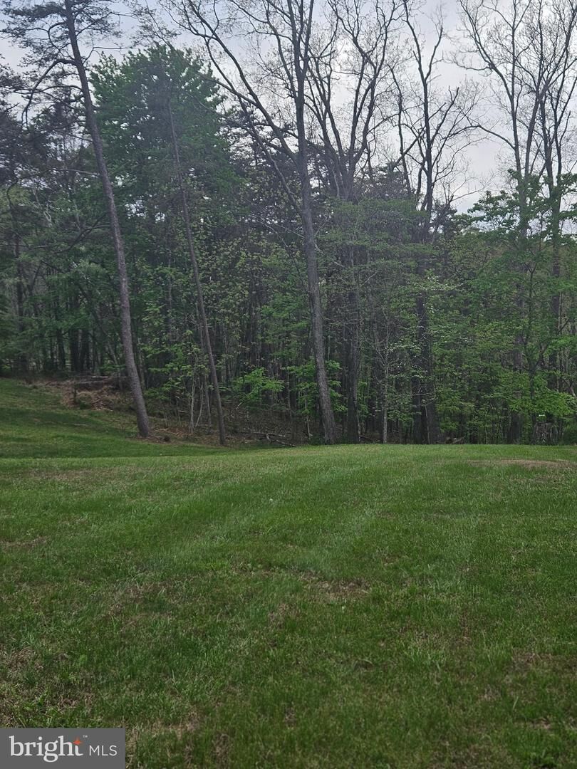 Property Photo:  140 Pine Tree Court  VA 22637 