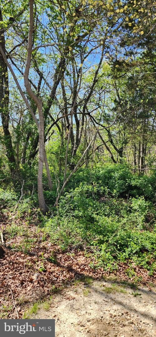 Property Photo:  2501 Tilton Rd #121  NJ 08234 