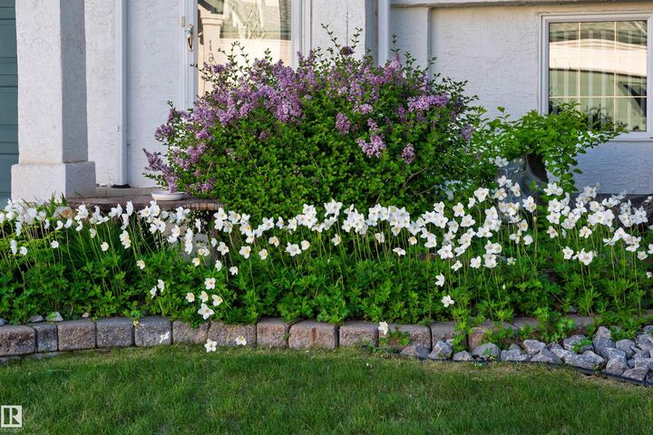 Property Photo: 11686 15 Avenue NW AB T6J 7E1