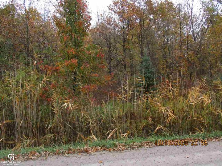 Property Photo:  00 Place Rd Parcel G 2.2 Road  MI 48050 