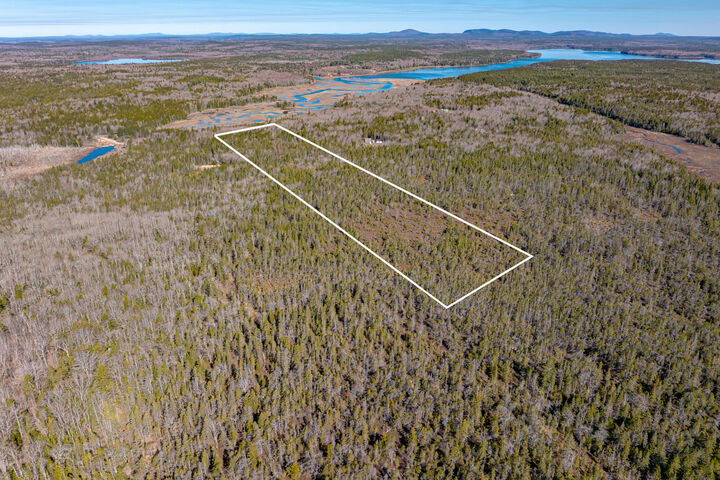 Property Photo:  M50 L10 Grand Marsh Bay Road  ME 04669 