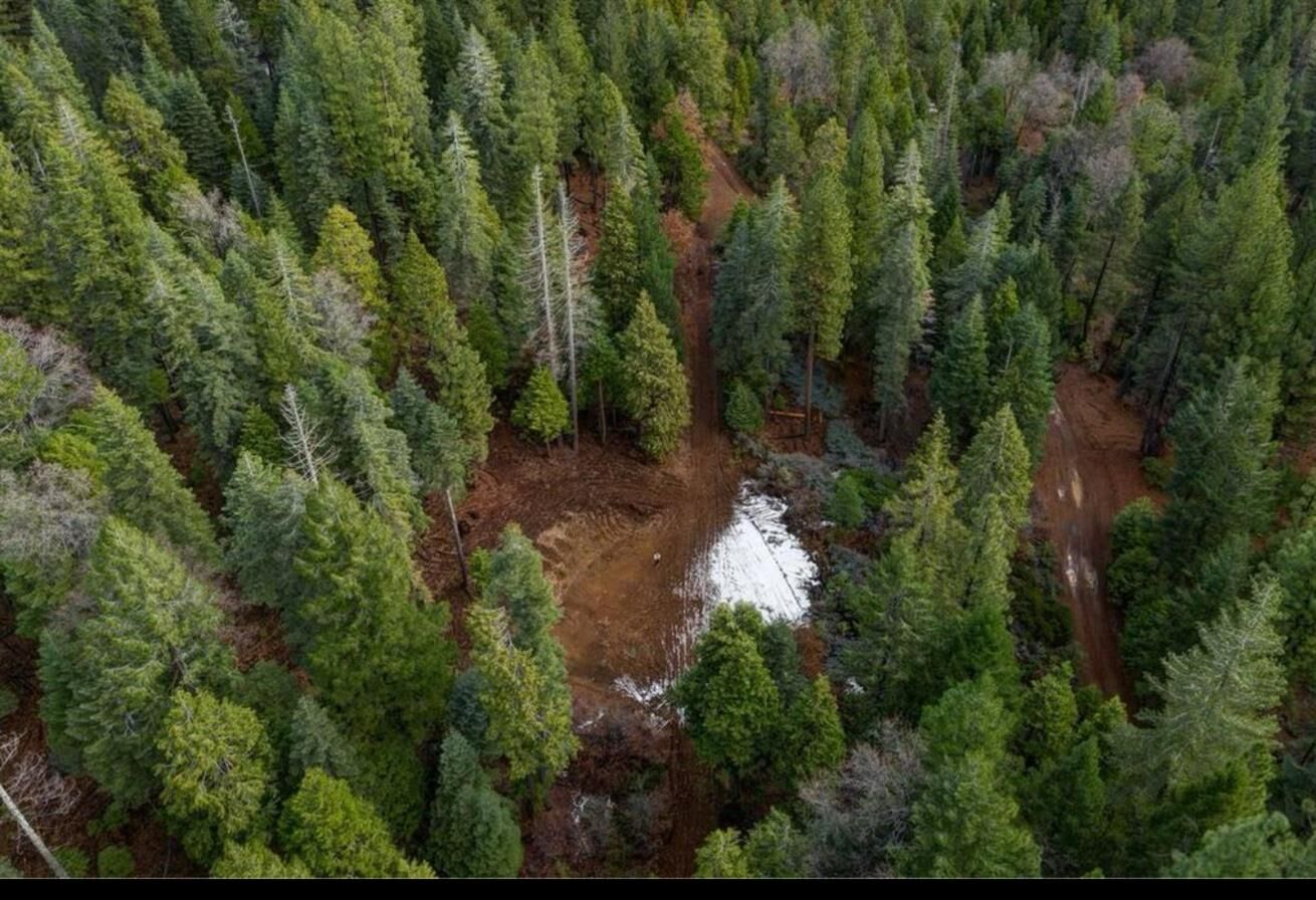 Property Photo:  30205 N Bloomfield-Graniteville Road  CA 95959 