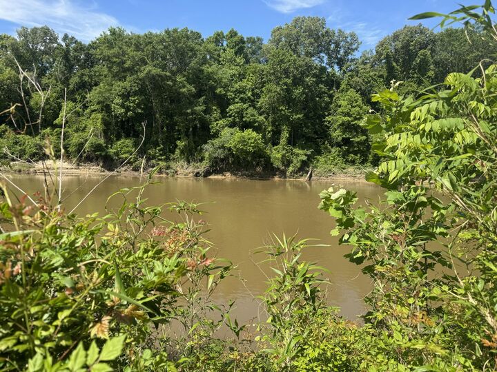 Property Photo:  Cannon Hole  MS 38821 