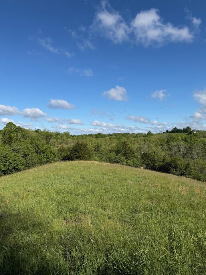 Property Photo:  11.19 Ac Chipman Ridge Road  KY 41097 
