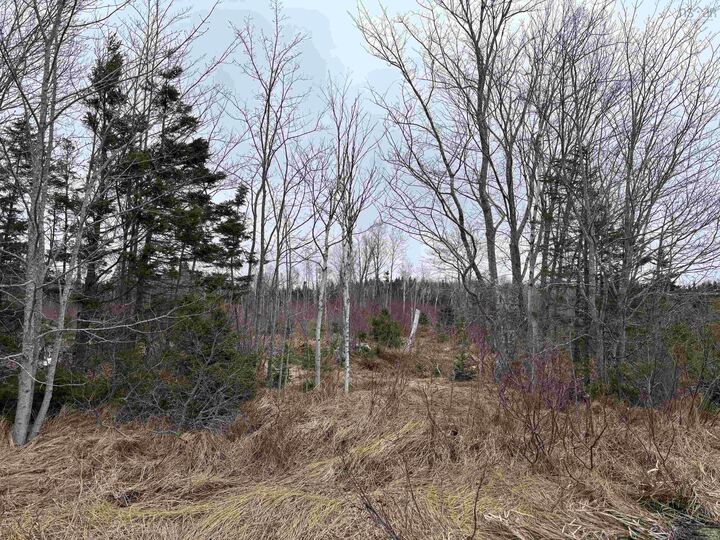 Property Photo:  St. James Road  NS B1X 1A1 
