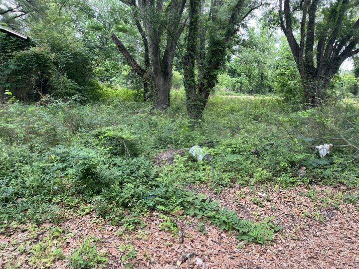 Property Photo:  163 &Amp 141A Pelt  LA 71446 