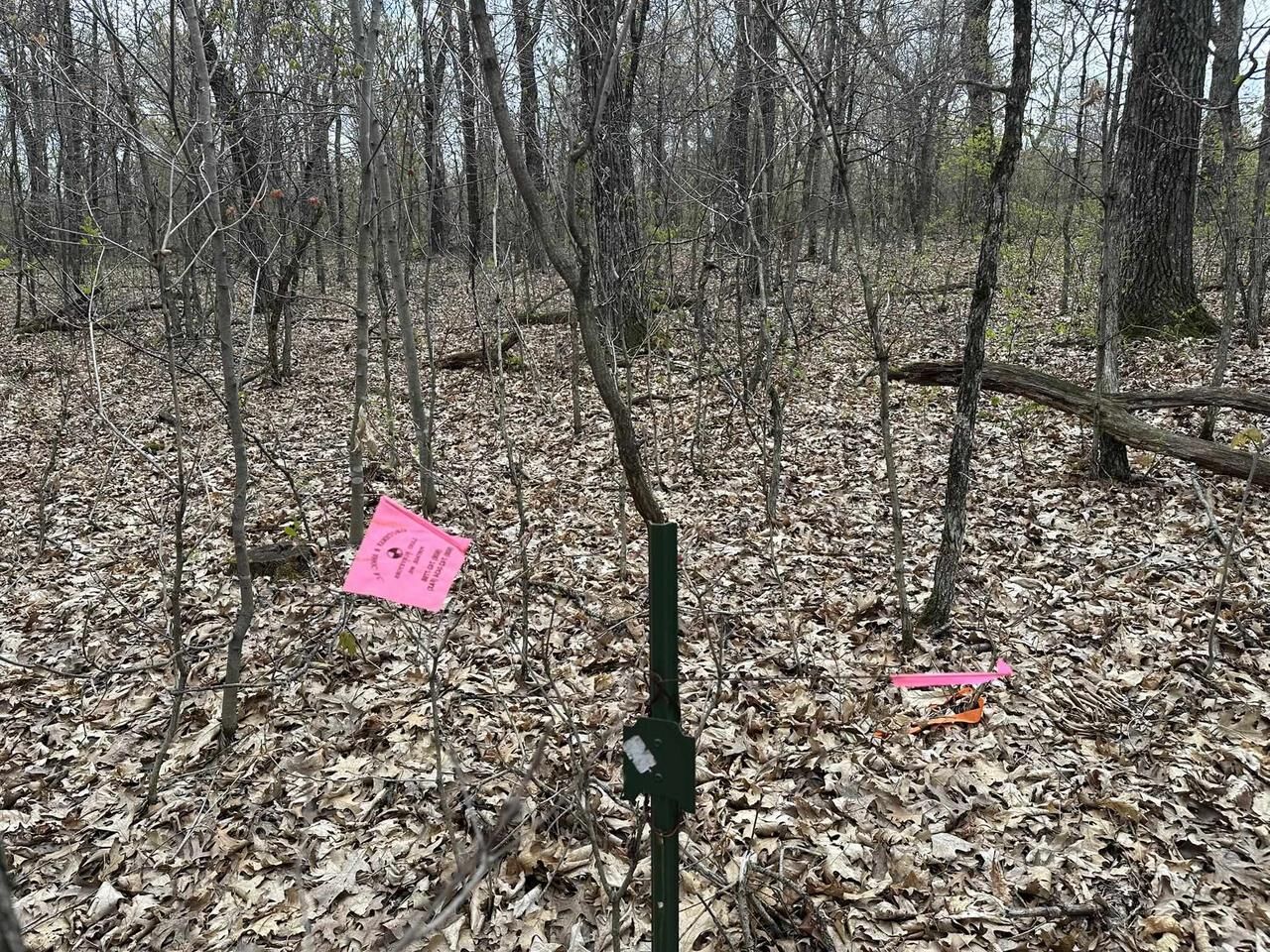 Property Photo: 8.77 Ac Raedel Lane WI 53965