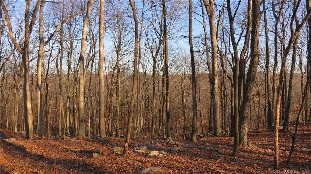 Property Photo:  67 Umpawaug Road  CT 06896 
