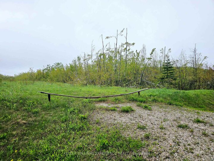 Property Photo:  Pt Lt 18 Con 11 Hwy 26 N/A  ON N4L 1W5 