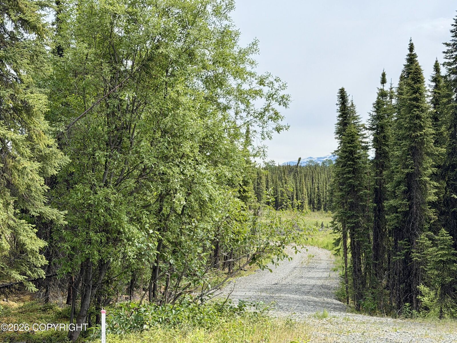 Property Photo: 32796 Aletha Court AK 99669