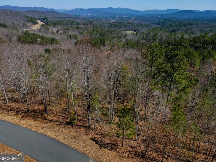 Property Photo: Lot 38 The Hills At Queens Gap GA 30512
